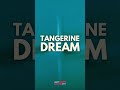Tangerine Dream - Rubycon: An Iconic Work of Electronic Music