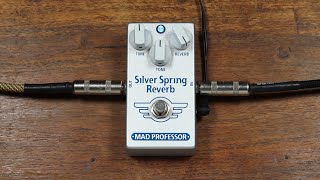 Video thumbnail for Mad Professor Silver Spring Reverb by Wall of Sound