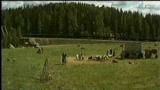 Björk ft. Thom Yorke - I&#39;ve seen it all