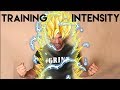 Training Intensity