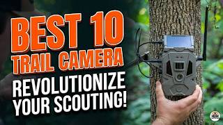 Best 10 Trail Camera Reviews for Hunting, Nature & Security (2026)