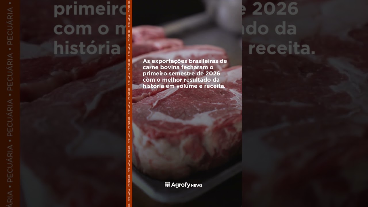 Recorde histórico na pecuária brasileira 🐂 #shrots