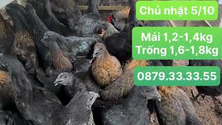 Chủ nhật 05/10