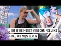 ACHTBAAN FOTO CHALLENGE MET MARIJE ZUURVELD ? | Sean pakt Shine #9 | NPO Zapp