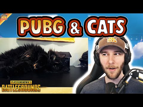 Attempted TKs and Taylor Too ft. HollywoodBob - chocoTaco PUBG Miramar Gameplay