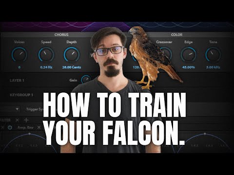 Let's Talk About UVI Falcon