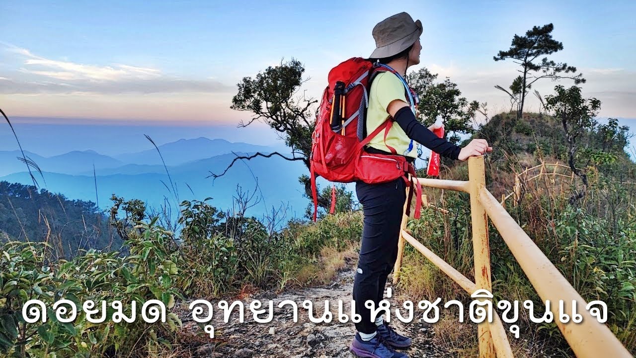 ดอยมด