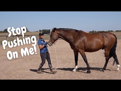 Stop Your Horse Invading Your Space!