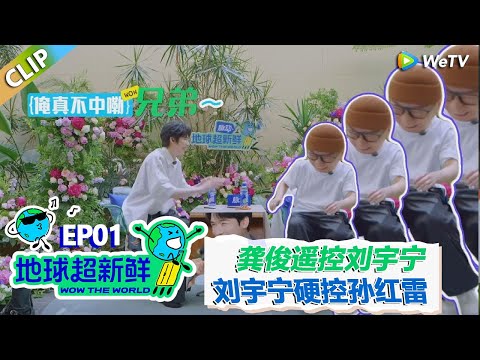 【地球超新鲜CLIP】：好友初次见面，龚俊幕后遥控刘宇宁，刘宇宁硬控孙红雷！！#刘宇宁 #龚俊 #陈赫 #李乃文 #孙红雷
