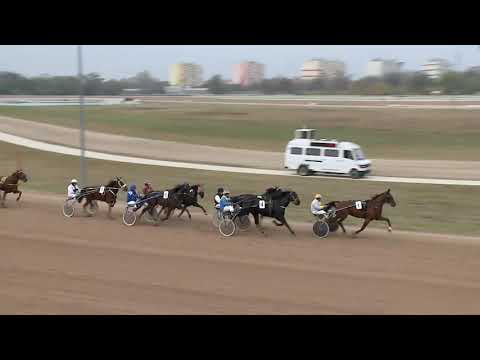 2019.11.02. 01. futam - NYERETLENEK VERSENYE I. RÉSZ