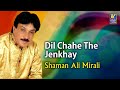 Shaman Ali Mirali Song Dil Chahe The Jenkhay Sindhi Songs