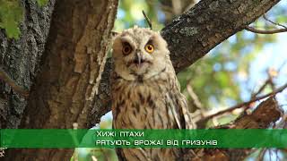 До Харківського зоопарку приносять совенят та інших птахів