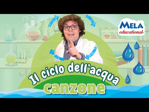Il ciclo dell'acqua - @Mela_Educational