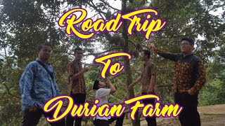 preview picture of video 'Road Trip To Durian Farm'