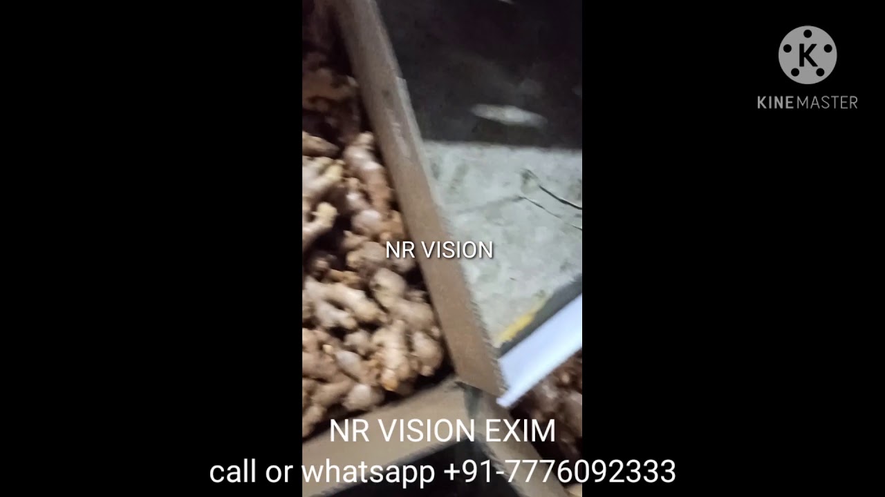 live Export quality Ginger grading and packing process