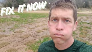 Are You BURNED OUT from Lawn Care? I almost QUIT