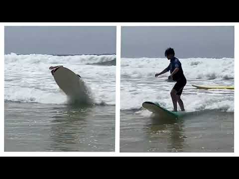 Miniature Surfin' Landes