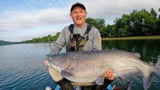 One Simple Change = GIANT Catfish
