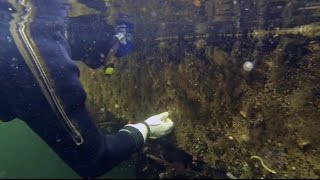 preview picture of video 'Researchers place pennies on dock for bioblitz in Ketchikan, Alaska'