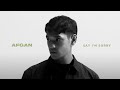 Afgan - Say I'm Sorry