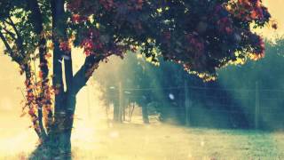 Dodge Fuski vs Virtual Riot   Alien Xilent Remix