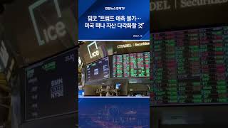 핌코 "트럼프 예측 불가…미국 떠나 자산 다각화할 것"