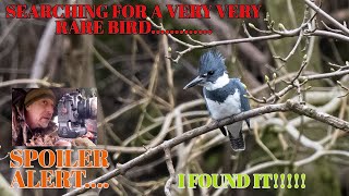 BIRD PHOTOGRAPHY- SEARCHING FOR THE RAREST BIRD IN BRITAIN- A LESSON IN PATIENCE