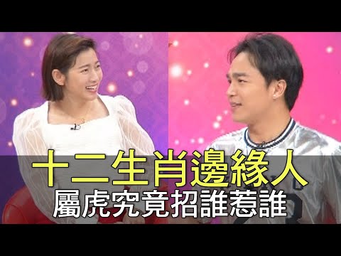 生肖虎禁忌