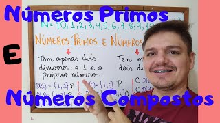 Exercícios Números Primos E Compostos 6 Ano Doc