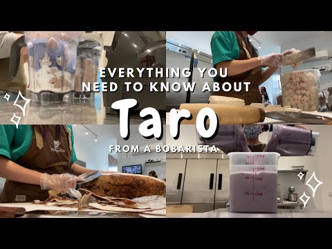 TARO 101💜 what is taro? how do you pick a good taro root? how do you cook taro for boba drinks?