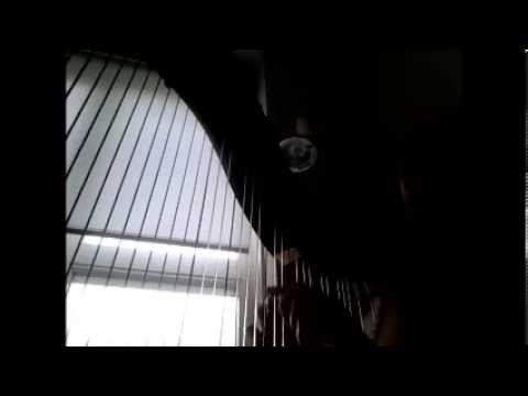 Gracefully - Sword Art Online harp cover