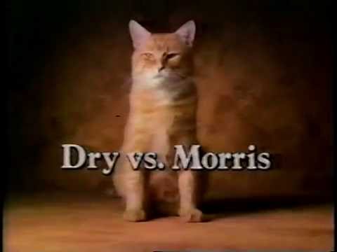 1986 - The World's Most Finicky Cat Gives a 