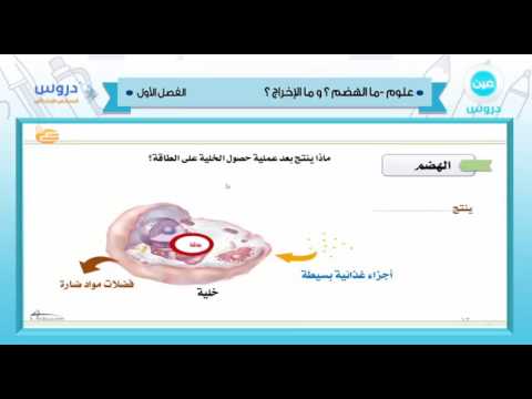 السادس الابتدائي | الفصل الدراسي الأول 1438 | علوم | ماالهضم؟ ماالإخراج؟