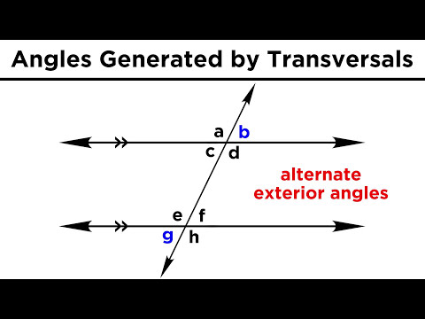 Types of Angles and Angle Relationships