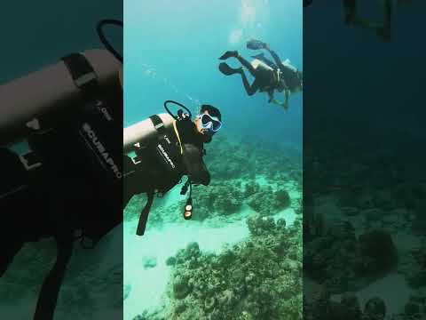 scuba diving kerala | best job oriented course in the world | world best career option, Miraj kannur