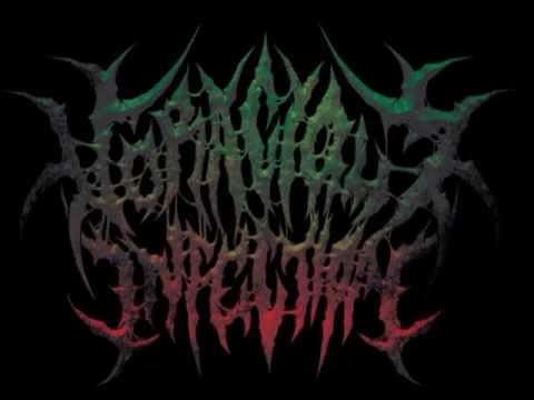 Voracious Infection - Inherit The Suffering