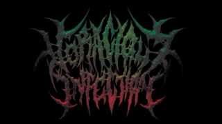 Voracious Infection - Inherit The Suffering