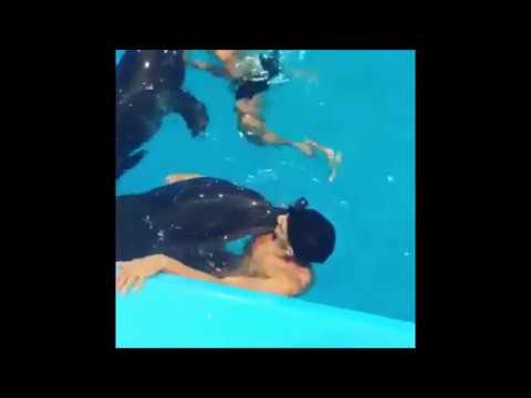 BOEF DISST ARMOOWASRIGHT!!! DOLFIJN