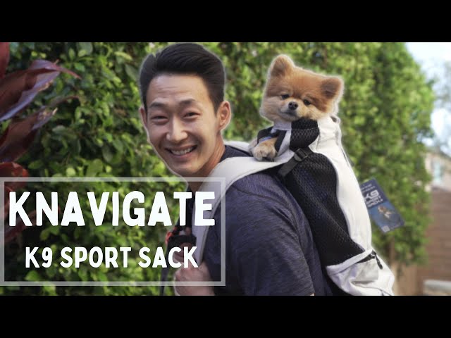 How To Put Dog In K9 Sport Sack Updated November 2022 Wikidoggia