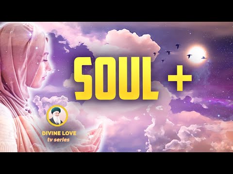 HOW TO RECALIBRATE YOUR SOUL ⎮ Sufi Meditation Center E229