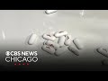 Major New Study Finds No Link Between Tylenol Use In Pregnancy And Austim Or ADHD
