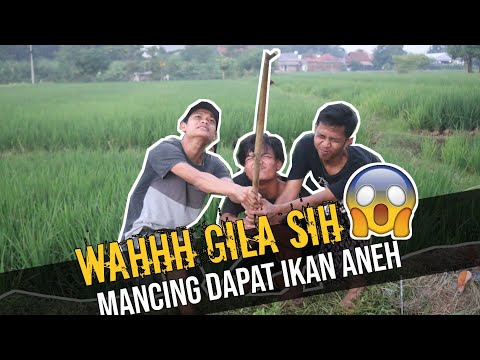 horor-mancing-berakibat-petaka-cerita-pendek-bocah-kampungku