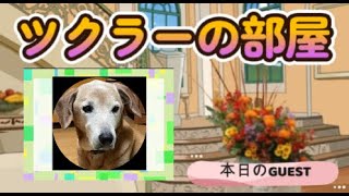 ツクラーの部屋 第31回 あわやまたなさん