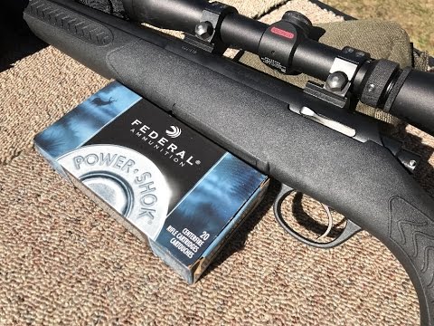 .300 Winchester Magnum, 180gr JSP, Federal (300WBS) Velocity Test