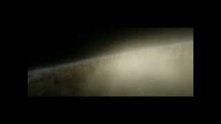 The Waterboys   You In The Sky