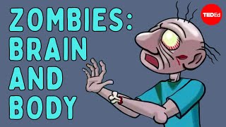 Diagnosing a zombie: Brain and body (Part one) - Tim Verstynen & Bradley Voytek