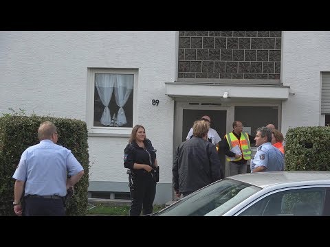 Ordnungsamt wollte 2 Kampfhunde sicherstellen in Wesseling am 24.09.19