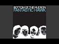 Fantastic Hawk