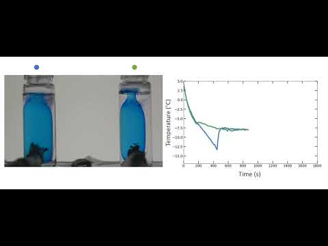 Damage due to ice crystallization - video 1