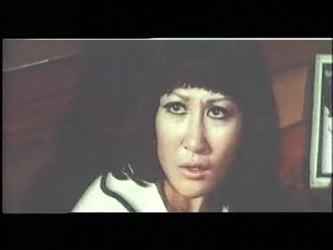 Kung Fu - Die tödliche Rache (MIKE HUNTER) german VHS Trailer - Rendezvous of Warriors -Tau Diy Haak